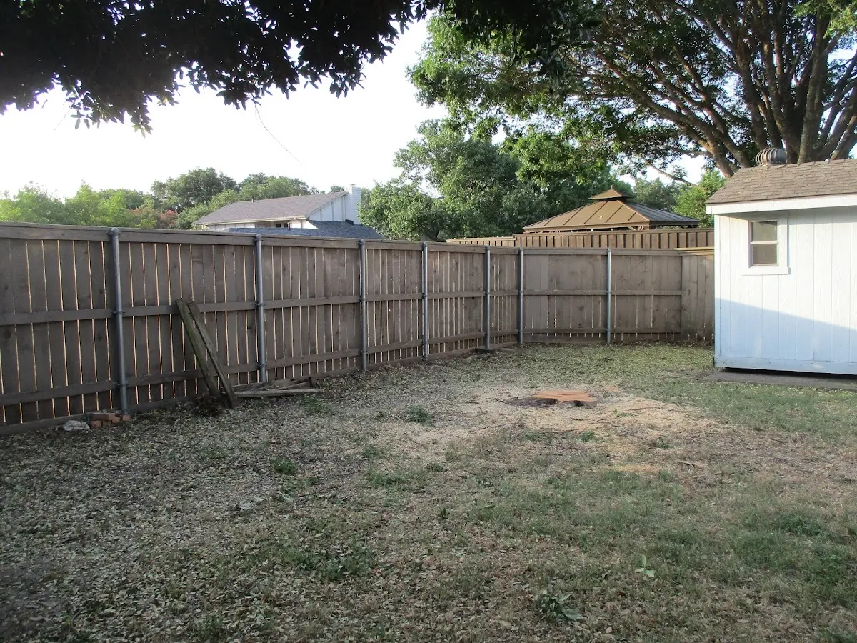 Cleared yard after professional tree removal in Maupin